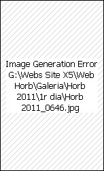 Imatges del viatge - Imagenes del viaje - Travel Images